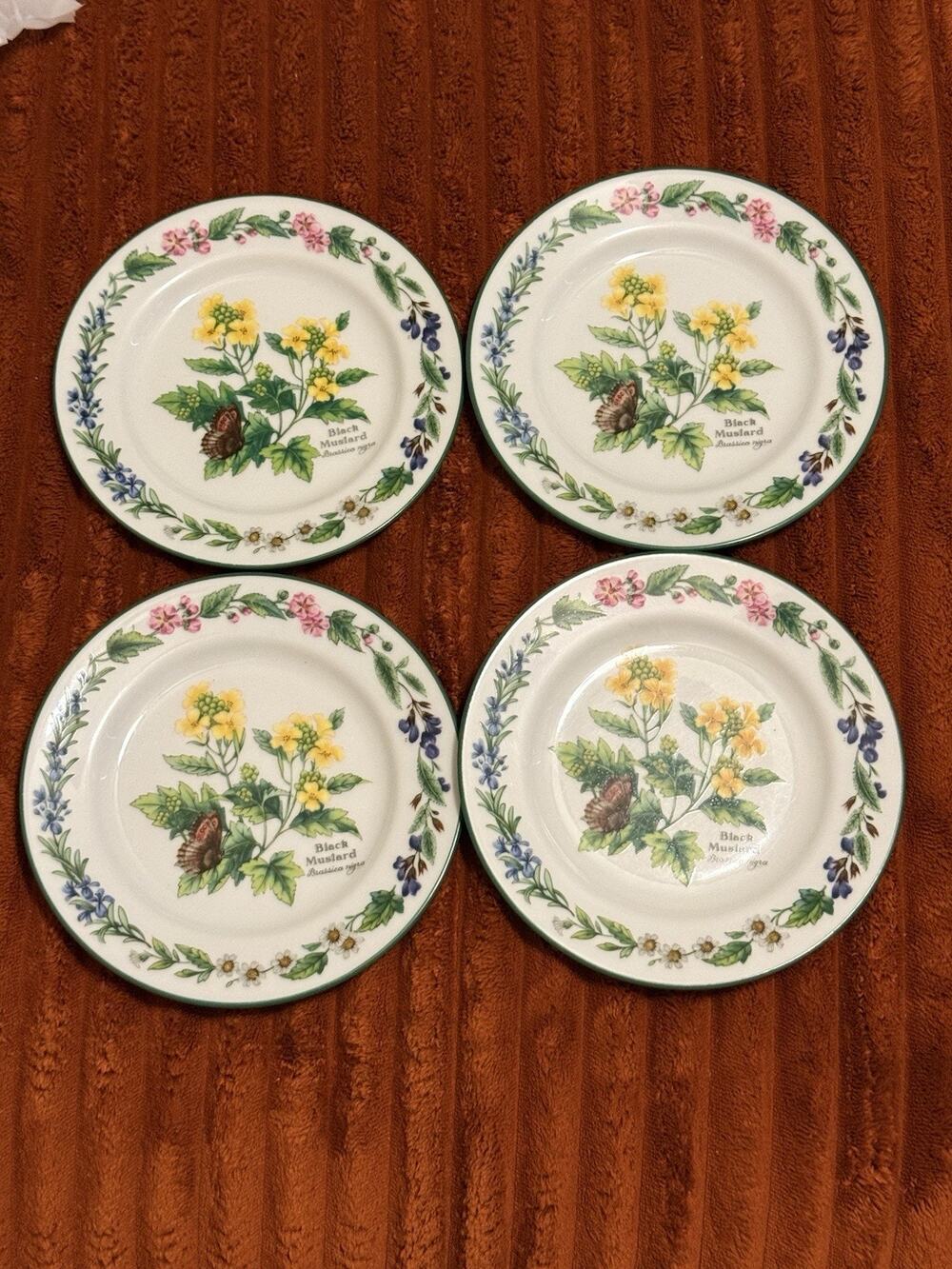 Royal Worcester Herbs Black Mustard 6.5” Bread Dessert Plates Set of 4 England
